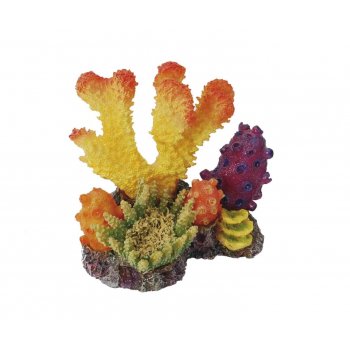 HAQUOSS REEF DREAM 1 - 10x9x9,5h cm